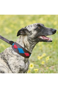 2023 Weatherbeeta Lurcher Polo Leather Dog Collar 10016990 - Beaufort Brown / Pink / Blue